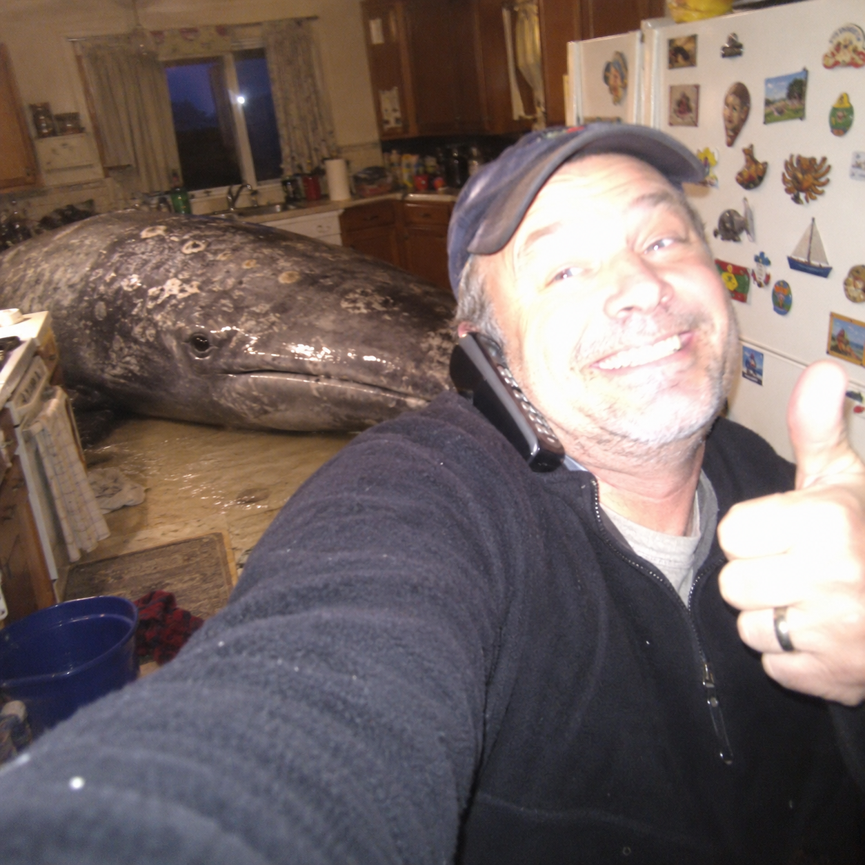 Gary, grinning in a navy cap and fleece, holds a cordless phone to his ear and gives a thumbs-up. A large gray whale lies on the kitchen floor behind him.